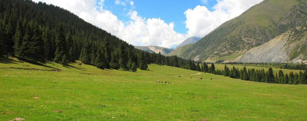 Фото галерея