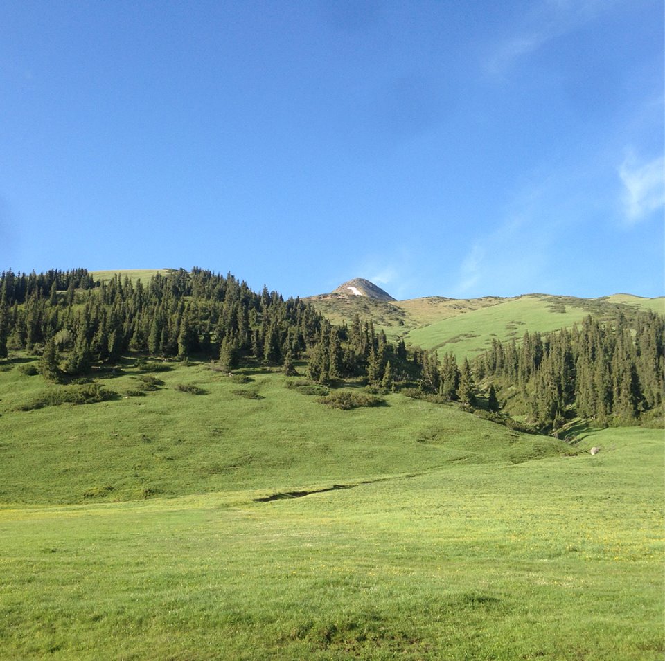 Пример отчета